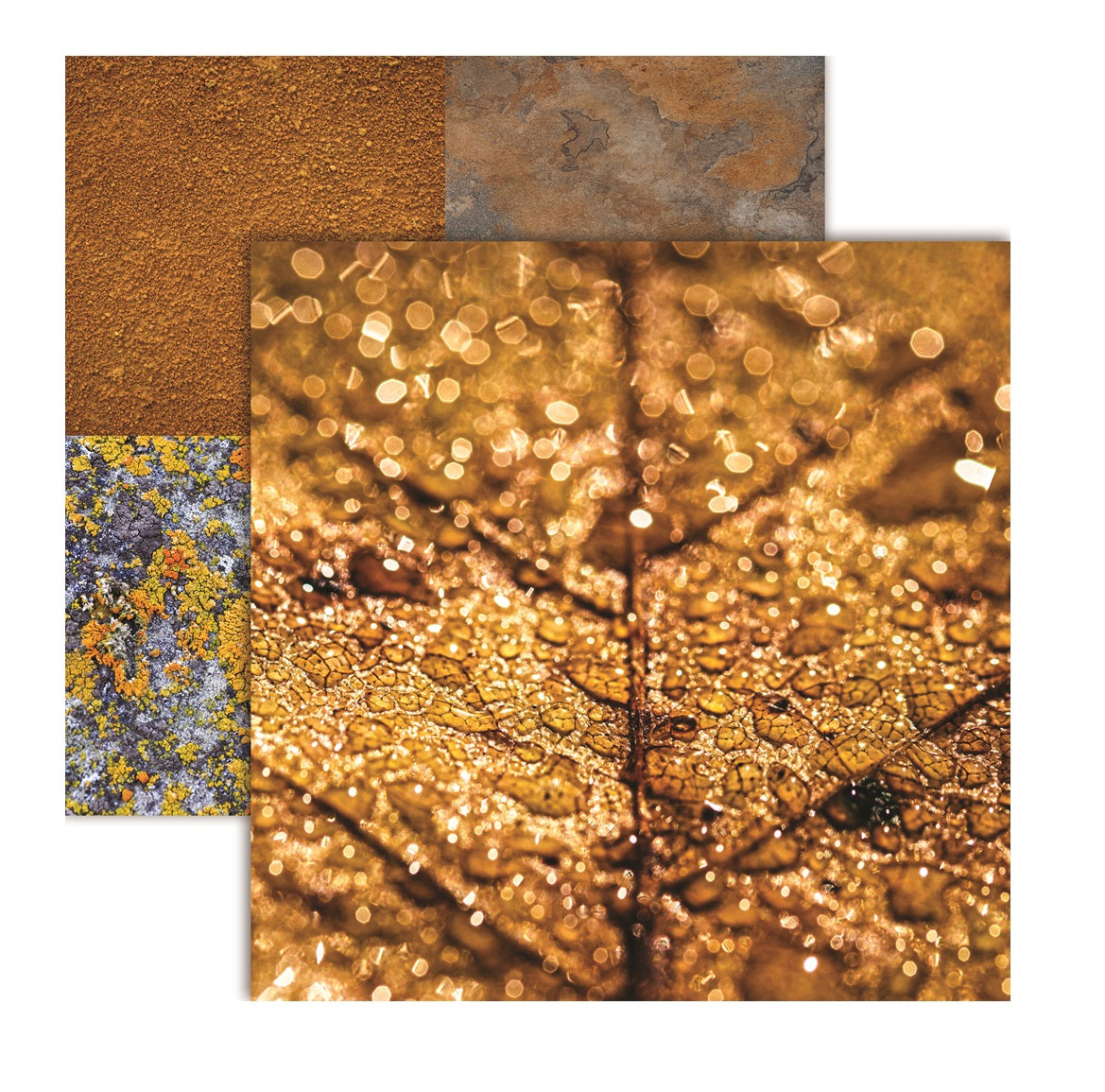 Hints of Copper - Natures Textures Scrapbook Paper