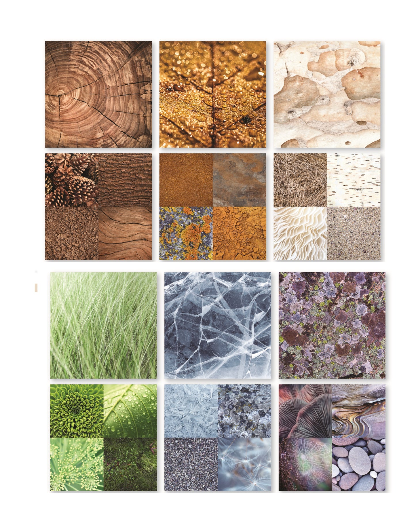 Reminisce Nature Textures Scrapbook Paper Assortment Set