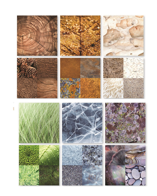 Reminisce Nature Textures Scrapbook Paper Assortment Set