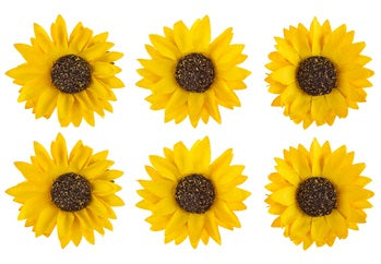 Sunflower Paper Flowers