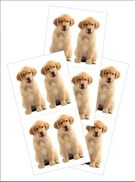 Golden Retriever Puppy Stickers