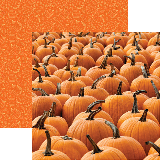 Pumpkins Galore Pumpkin Patch Scrapbook Paper