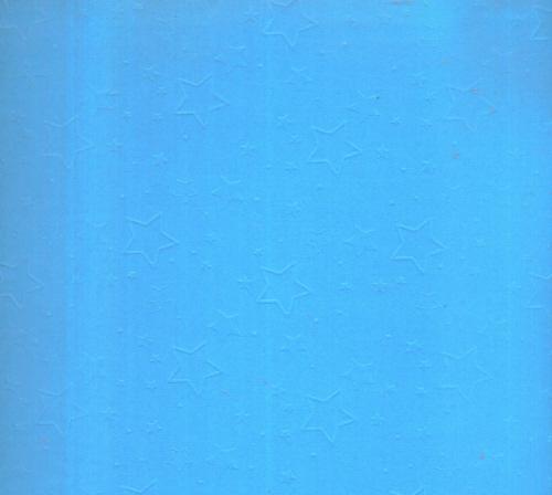 Blue Stars Embossed Cardstock 12x12