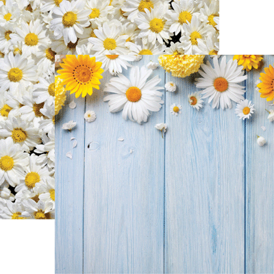 Springtime Daisies Wood Board Scrapbook paper