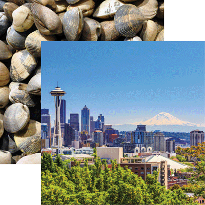 The Great Northwest Seattle Scrapbook Paper