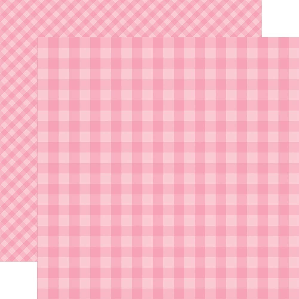 Echo Park Raspberry Pink Gingham Scrapbook Paper